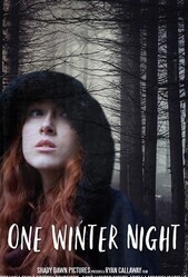Однажды зимней ночью / One Winter Night