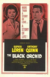 Черная орхидея / The Black Orchid