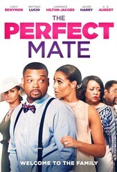 Идеальный партнёр / The Perfect Mate