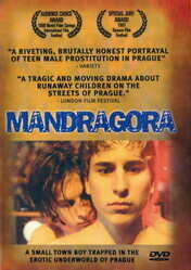 Мандрагора / Mandragora