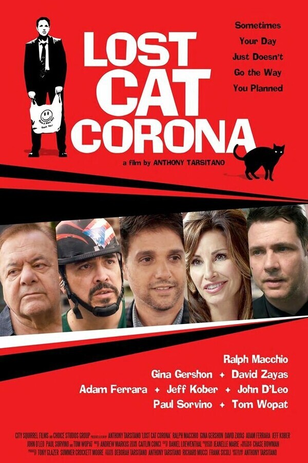 В Короне пропал кот / Lost Cat Corona