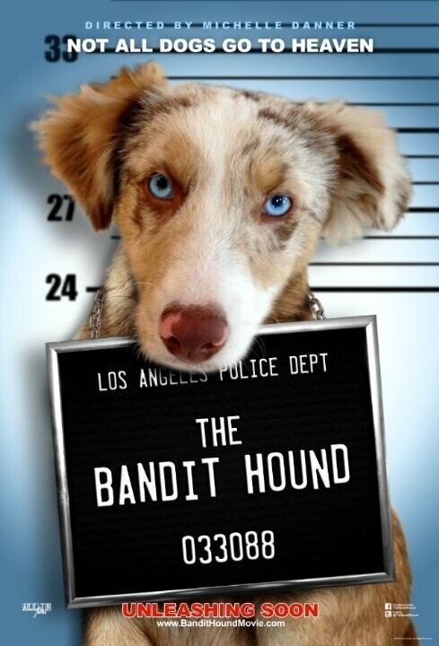 Пёс Бандит / The Bandit Hound