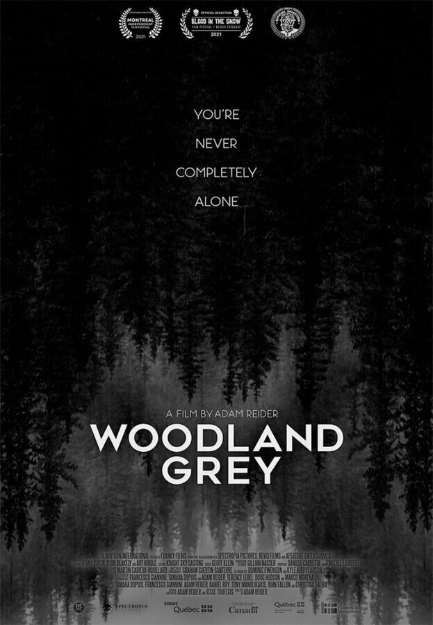 Серый лес / Woodland Grey